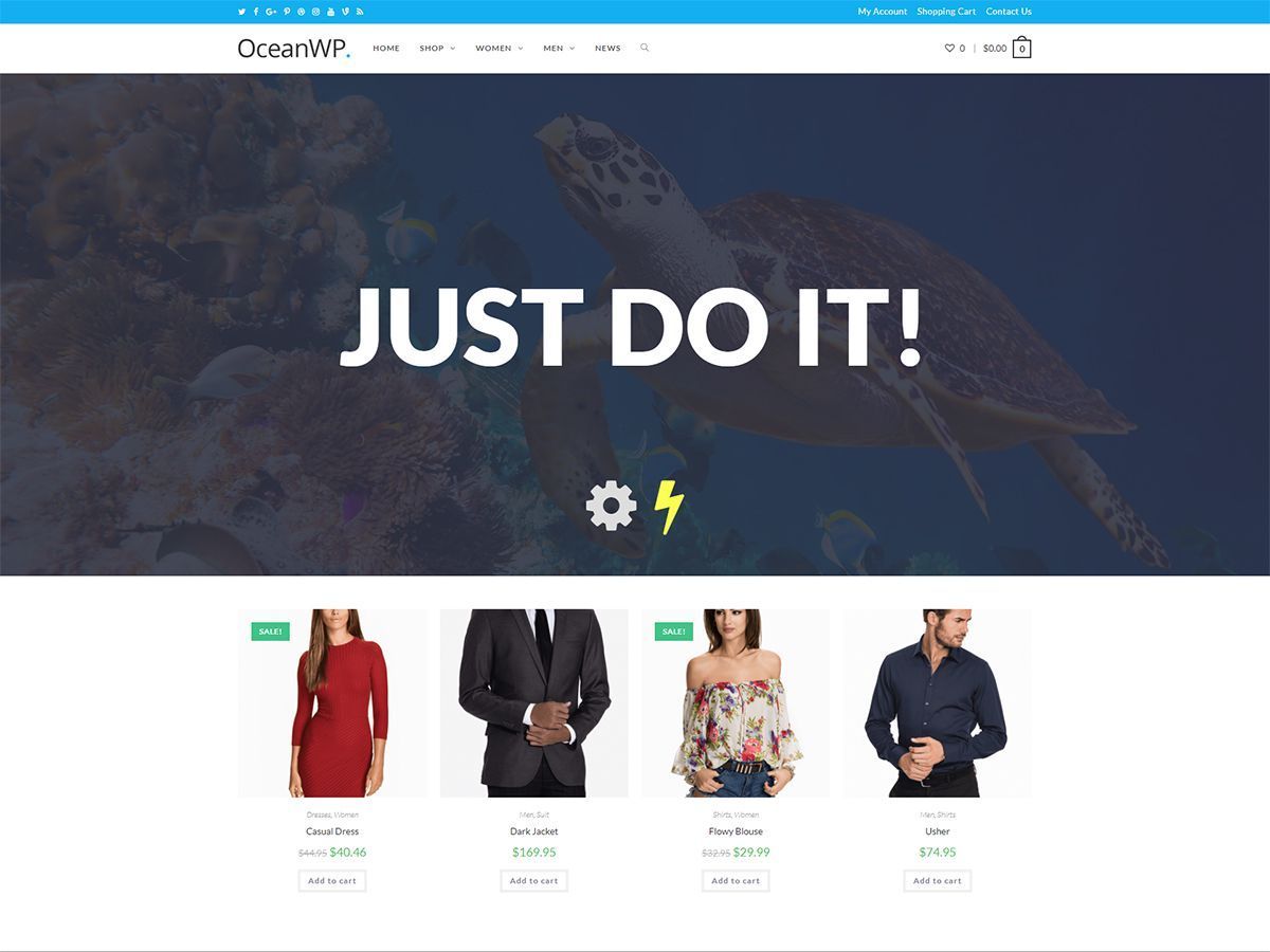 Top WordPress Themes